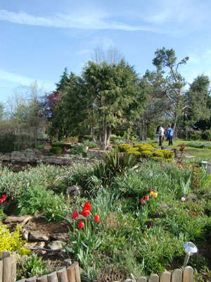 Plantations de jardin