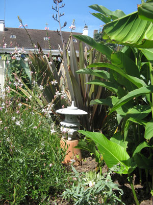 Plantations
